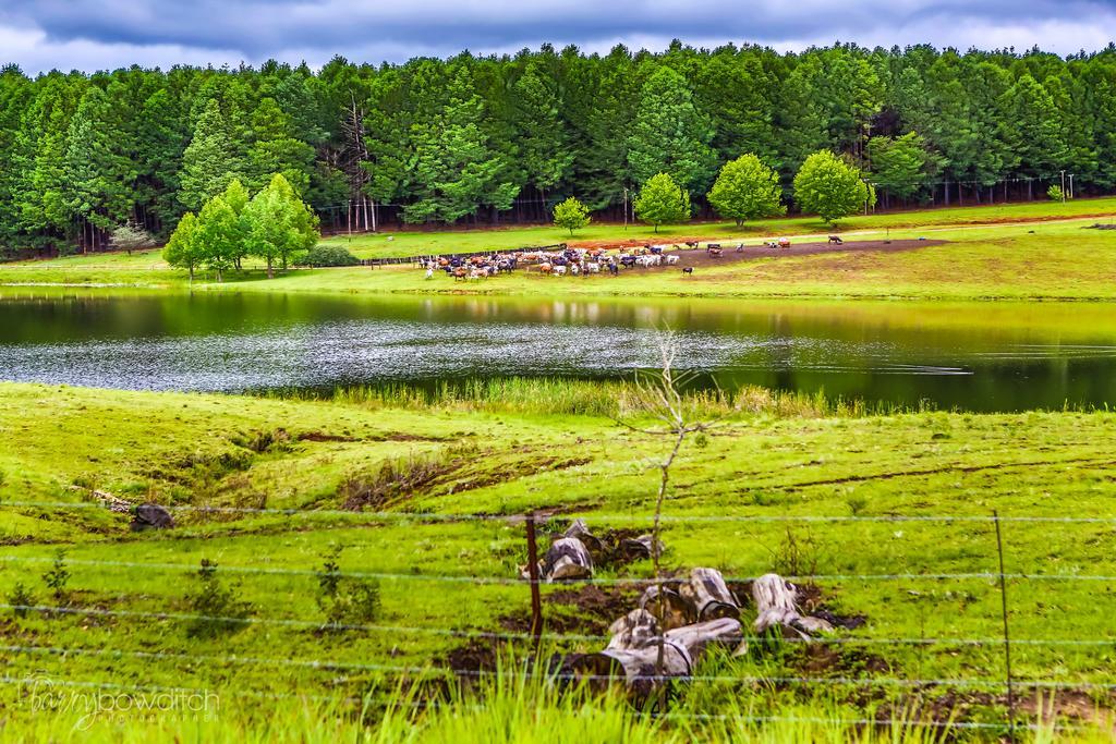 Umzimkulu River Lodge Ундерберг Экстерьер фото